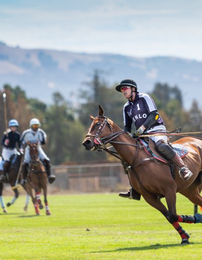 Polo match Gilroy CA