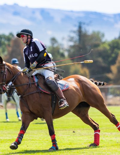 Polo match Gilroy CA