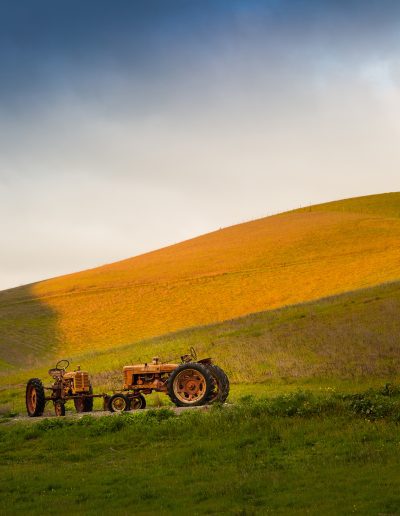 Antique tractors, Livermore, CA
