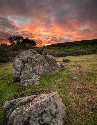 Sunrise at East Bay Regional Park, Oakland