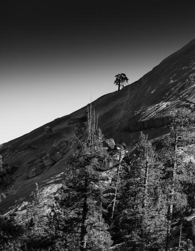 Sentinel Dome, Yosemite National Park