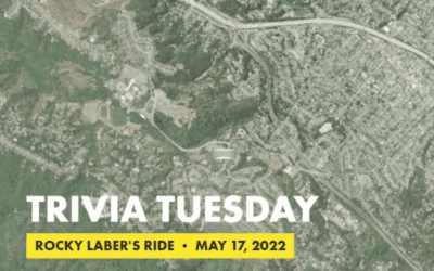 Trivia Tuesday