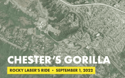 Chester’s Gorilla