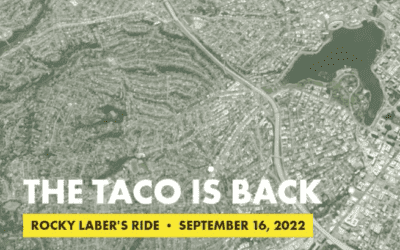 The Taco is Back