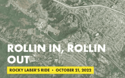 Rollin in, rollin out