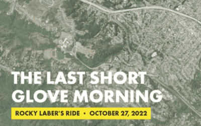 the last short glove morning