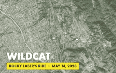 Wildcat Reconnaissance