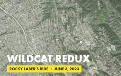 Wildcat Redux