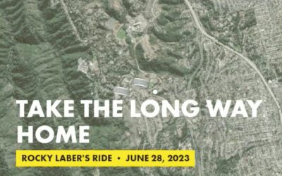 Take the Long Way Home