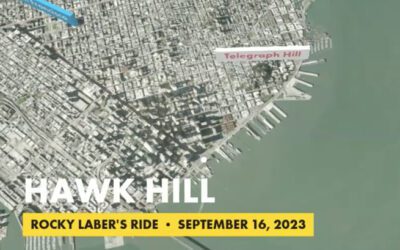 Hawk Hill
