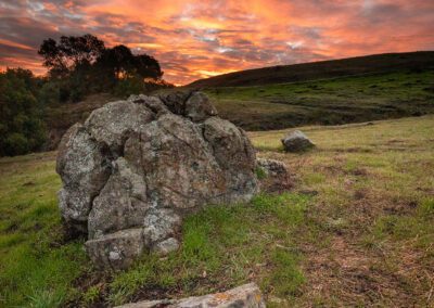 The warmth of the sun is about to penetrate a cool morning in the hills of Oakland, CA