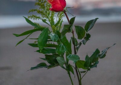 Golden Gate bridge, San Francisco, on a morning where I paid tribute to my sister, Shelley