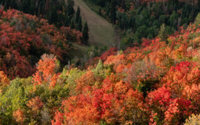 Donut Falls and Park City